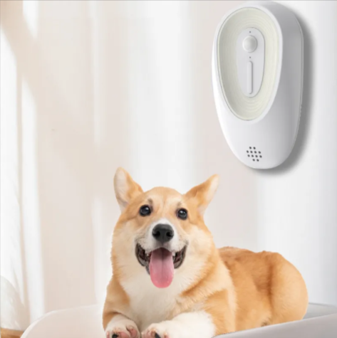Pet Odor Eliminator for Litter Boxes and Pet's Personal Areas