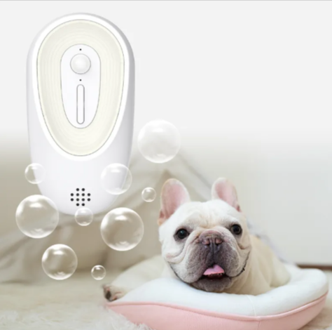 Pet Odor Eliminator for Litter Boxes and Pet's Personal Areas